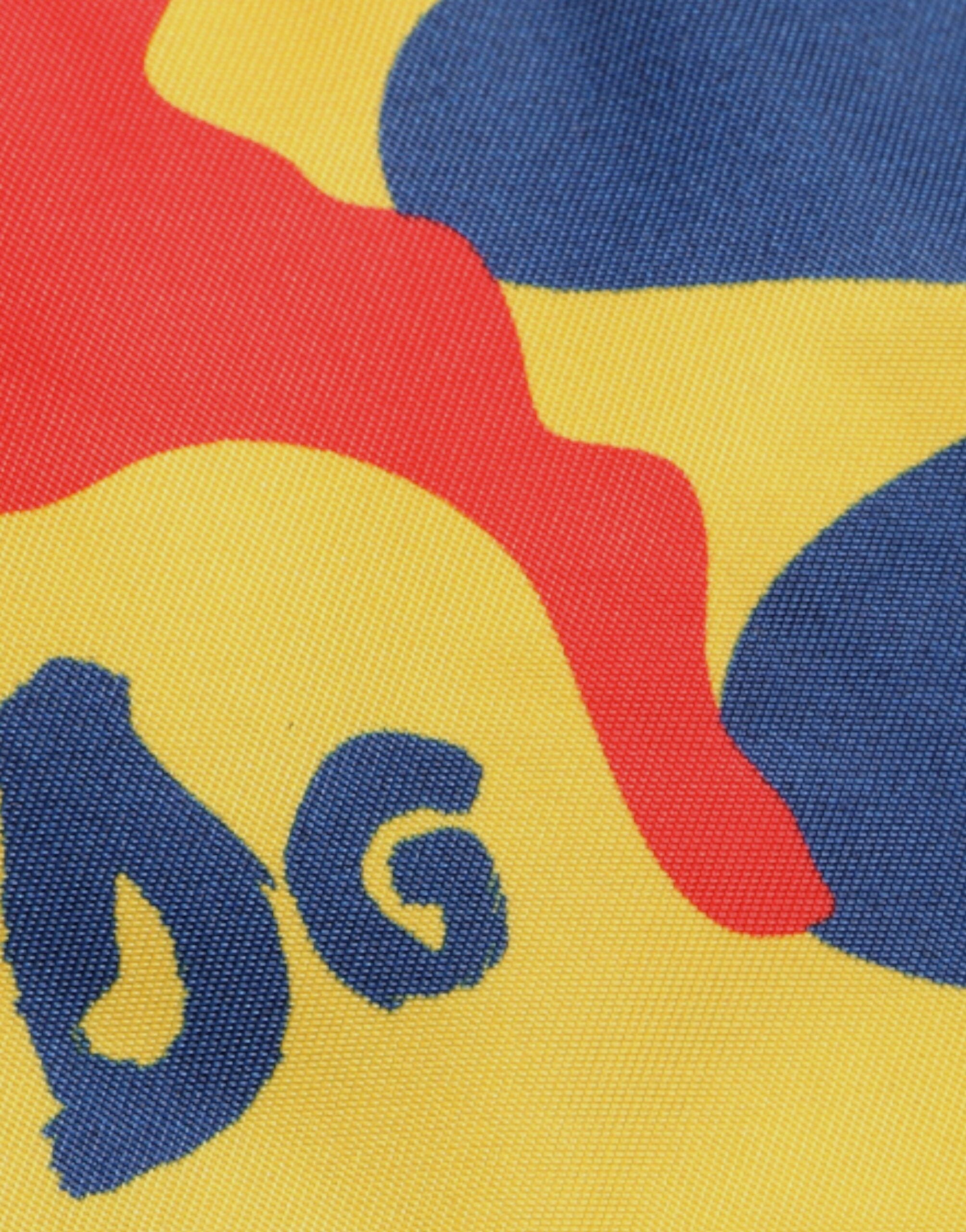 Dolce & Gabbana Многоцветна камуфлажна найлонова чанта през рамо