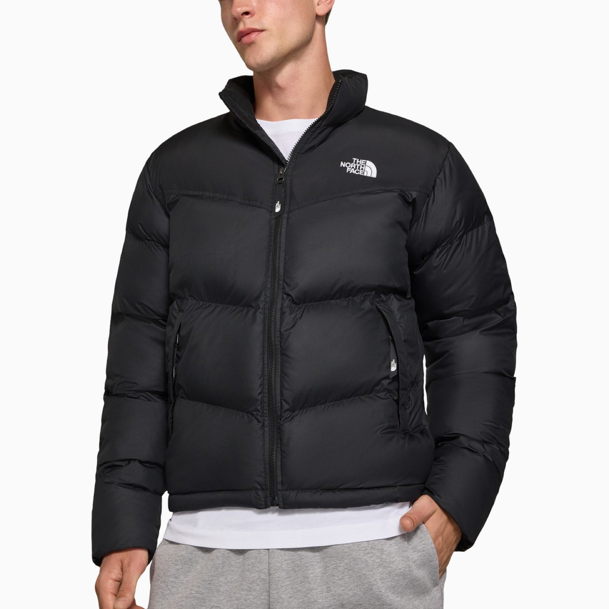 Мъжко яке The North Face Men Jacket NF0A853I Front View