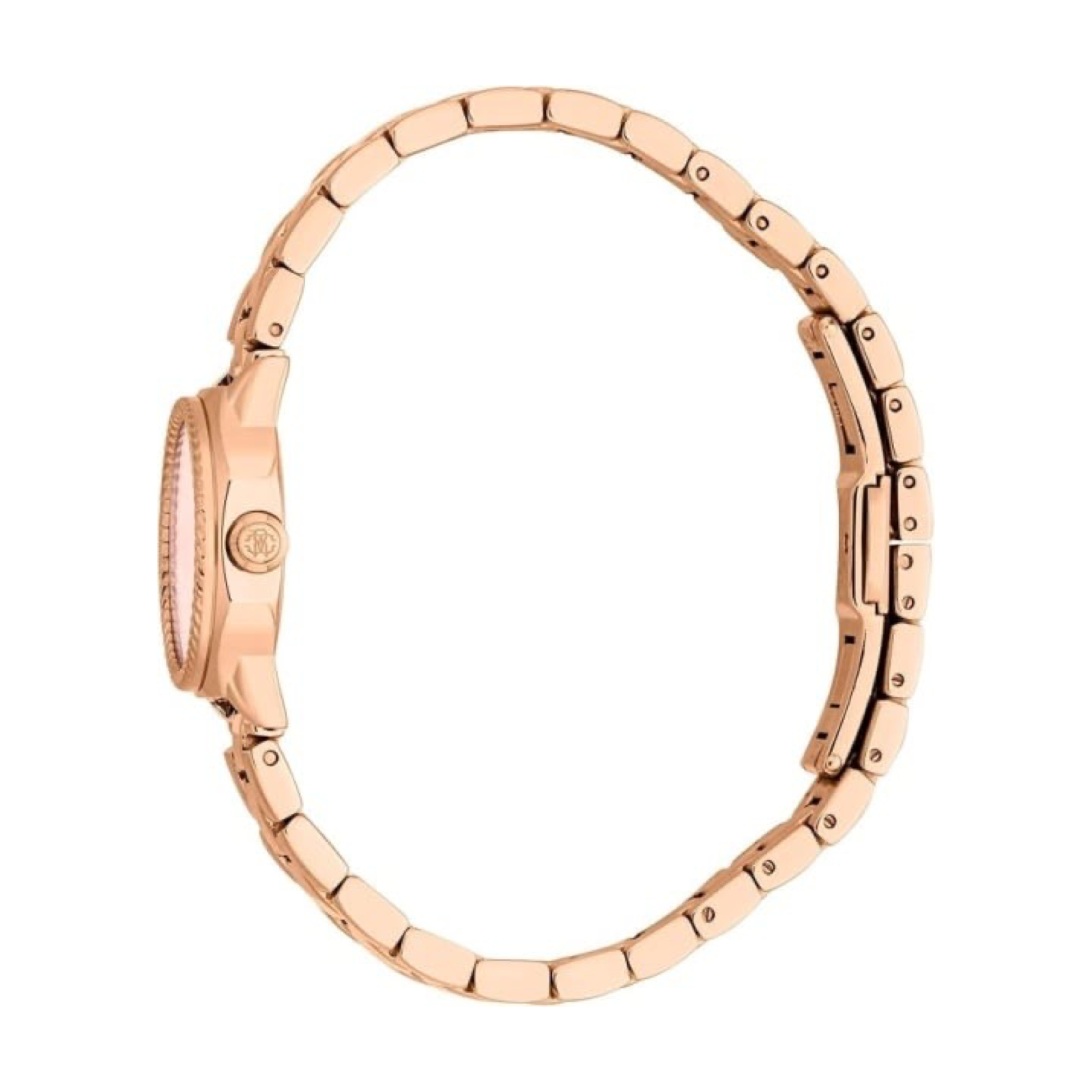 Roberto Cavalli Watches