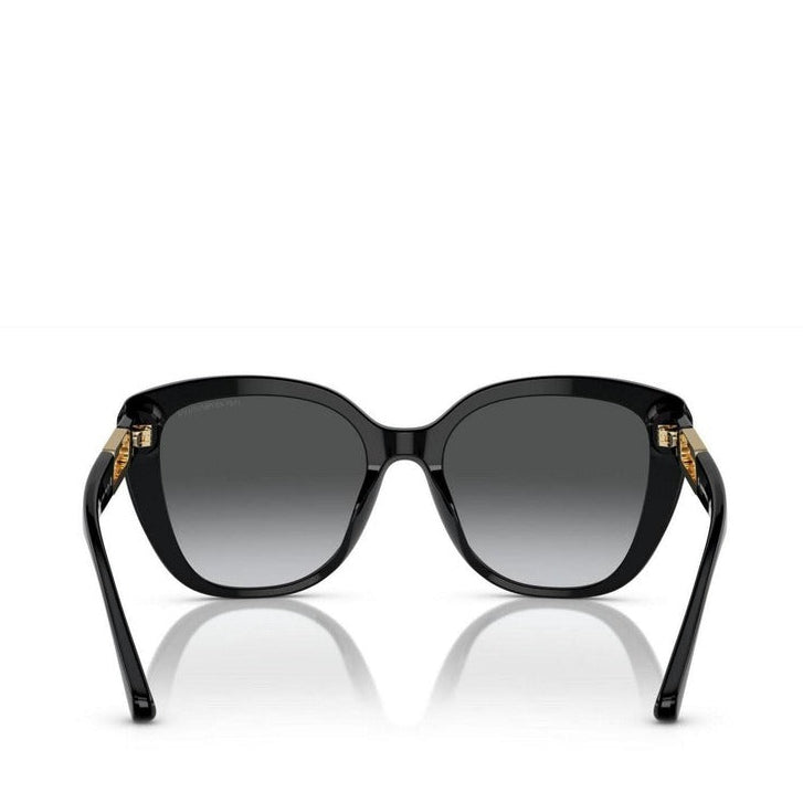 Emporio Armani Women Sunglasses