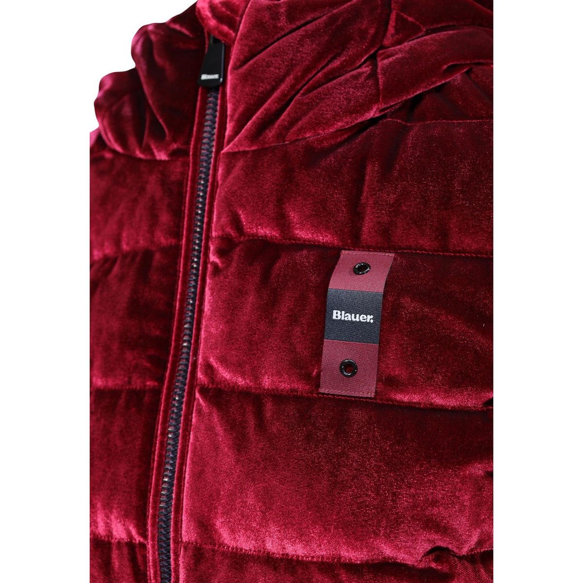 Blauer. Women Blazer