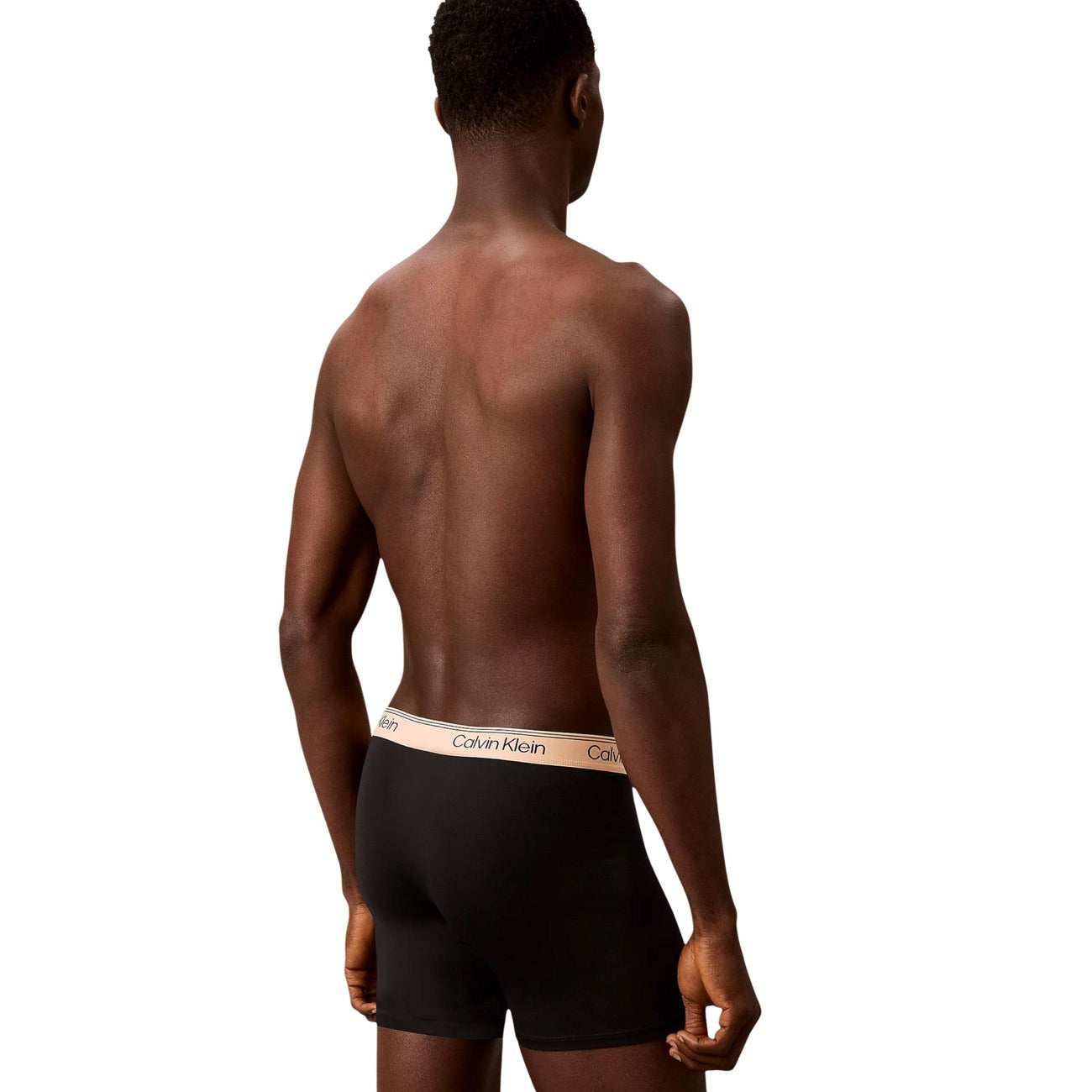Мъжки боксерки Calvin Klein Men 3-pack Boxers LV00NB4410 3ZZ Model Back View
