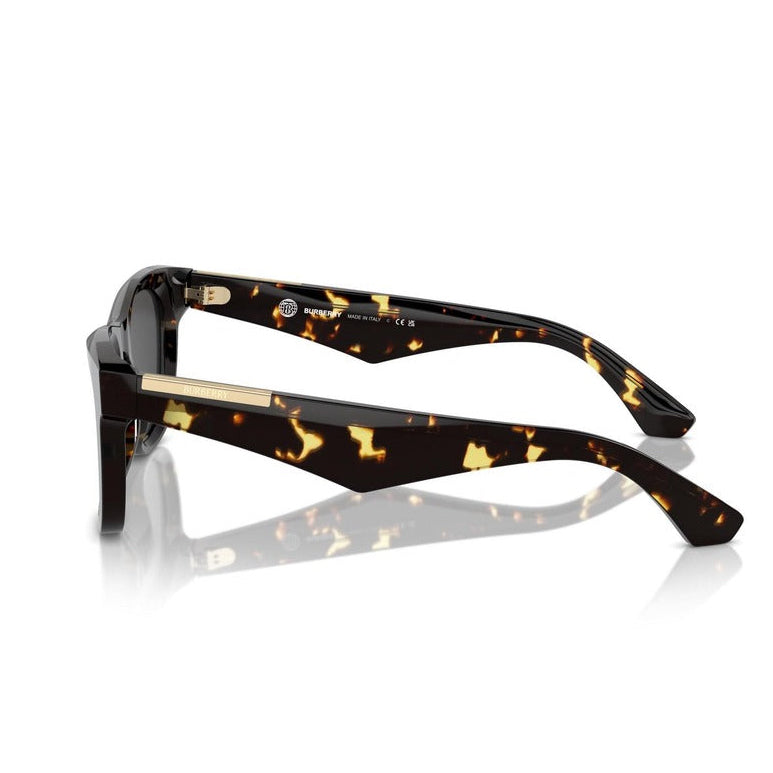 Burberry Men Sunglasses
