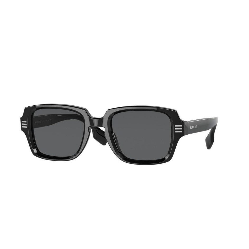 Burberry Men Sunglasses