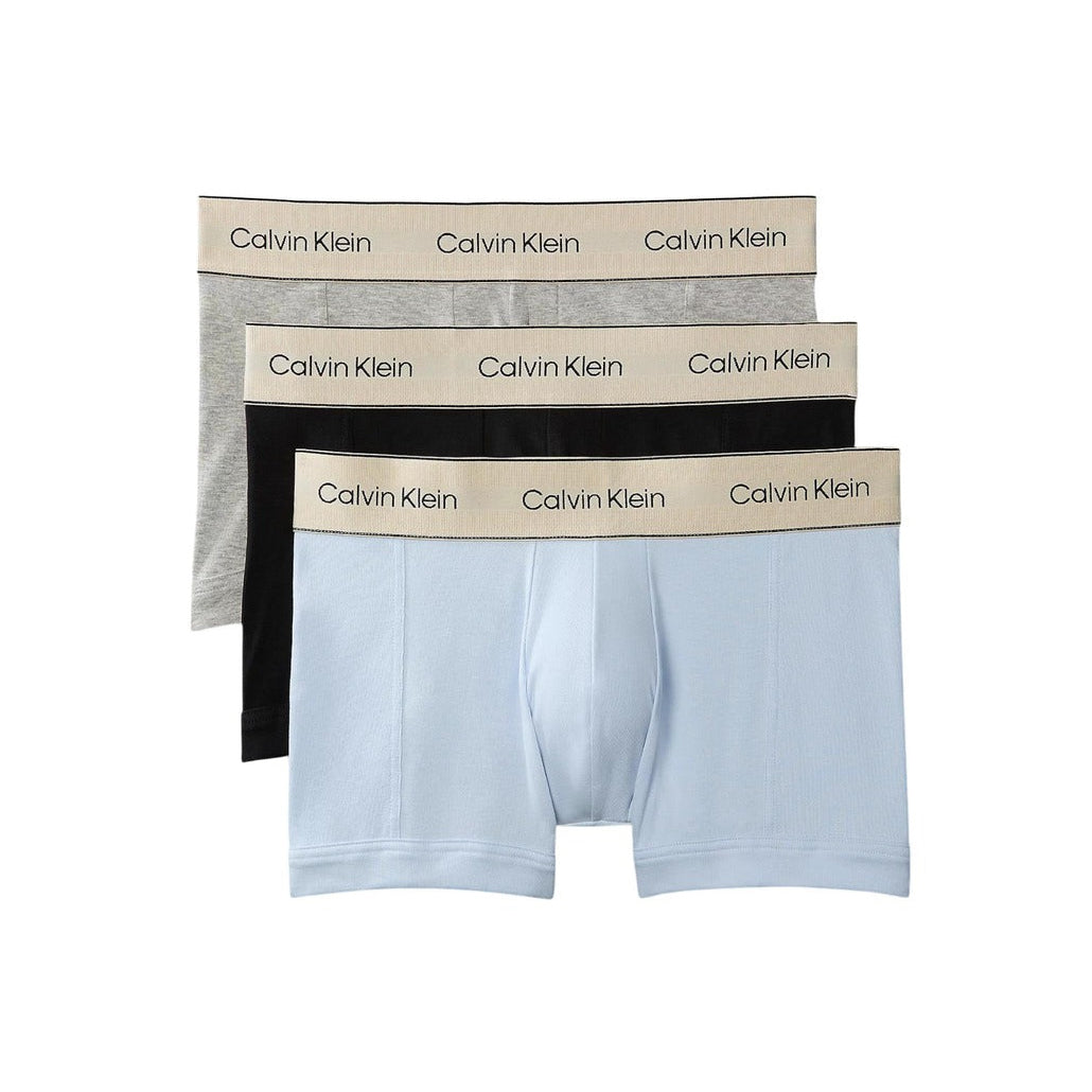 Мъжки боксерки Calvin Klein Men 3-pack Boxers LV00NB4446 VM9 Front View