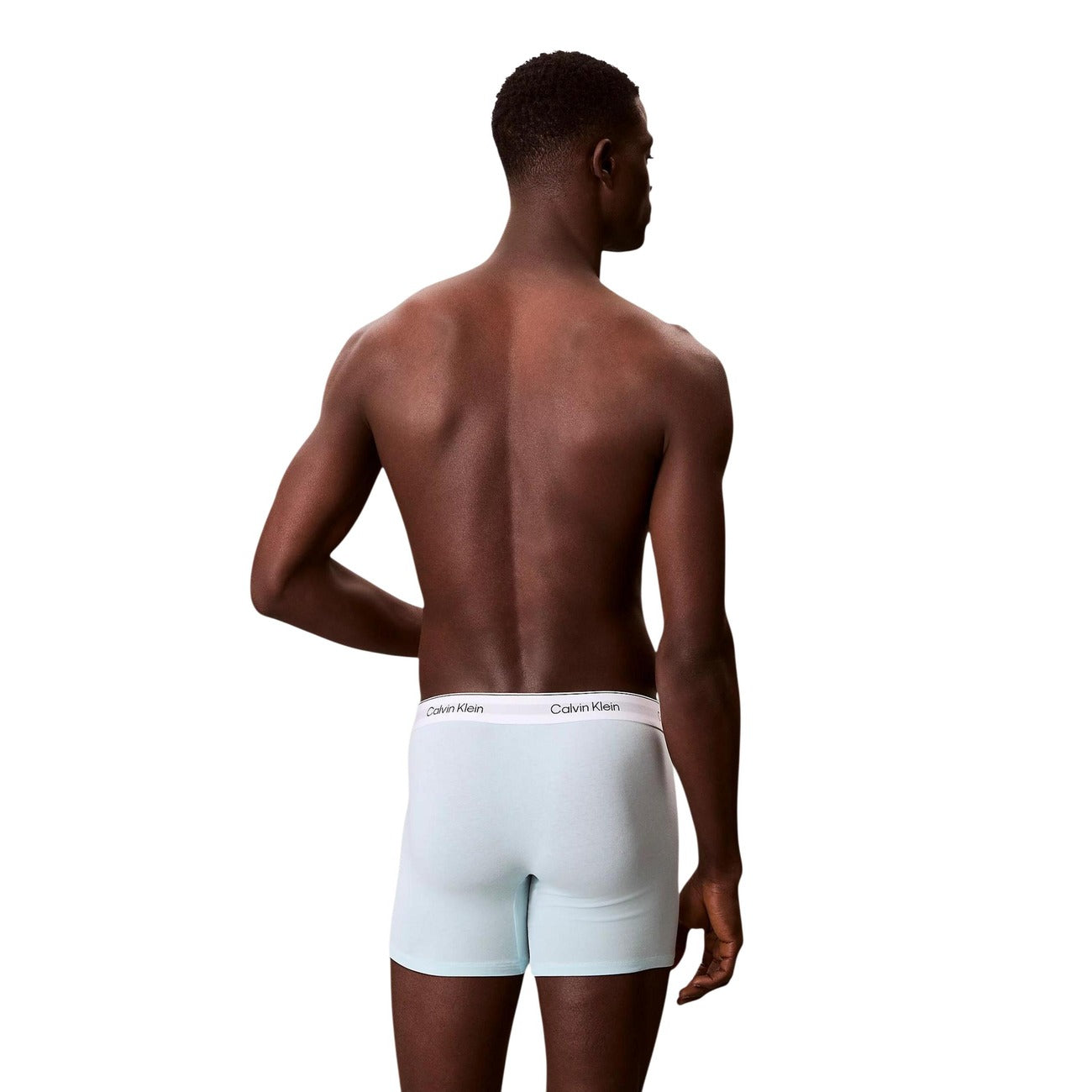 Мъжки боксерки Calvin Klein Men Boxers LV00NB4395 40A Back View