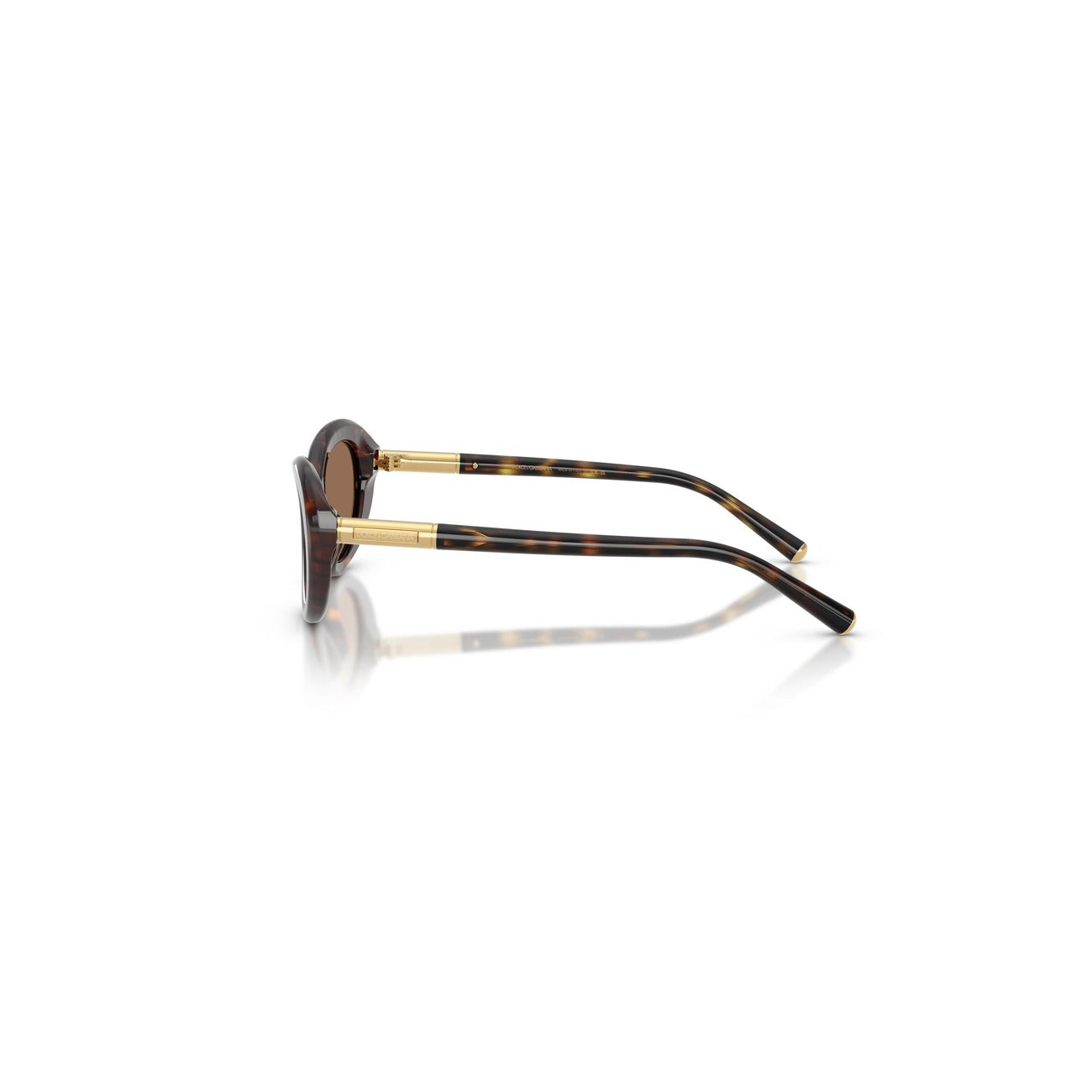 Dolce & Gabbana Women Sunglasses