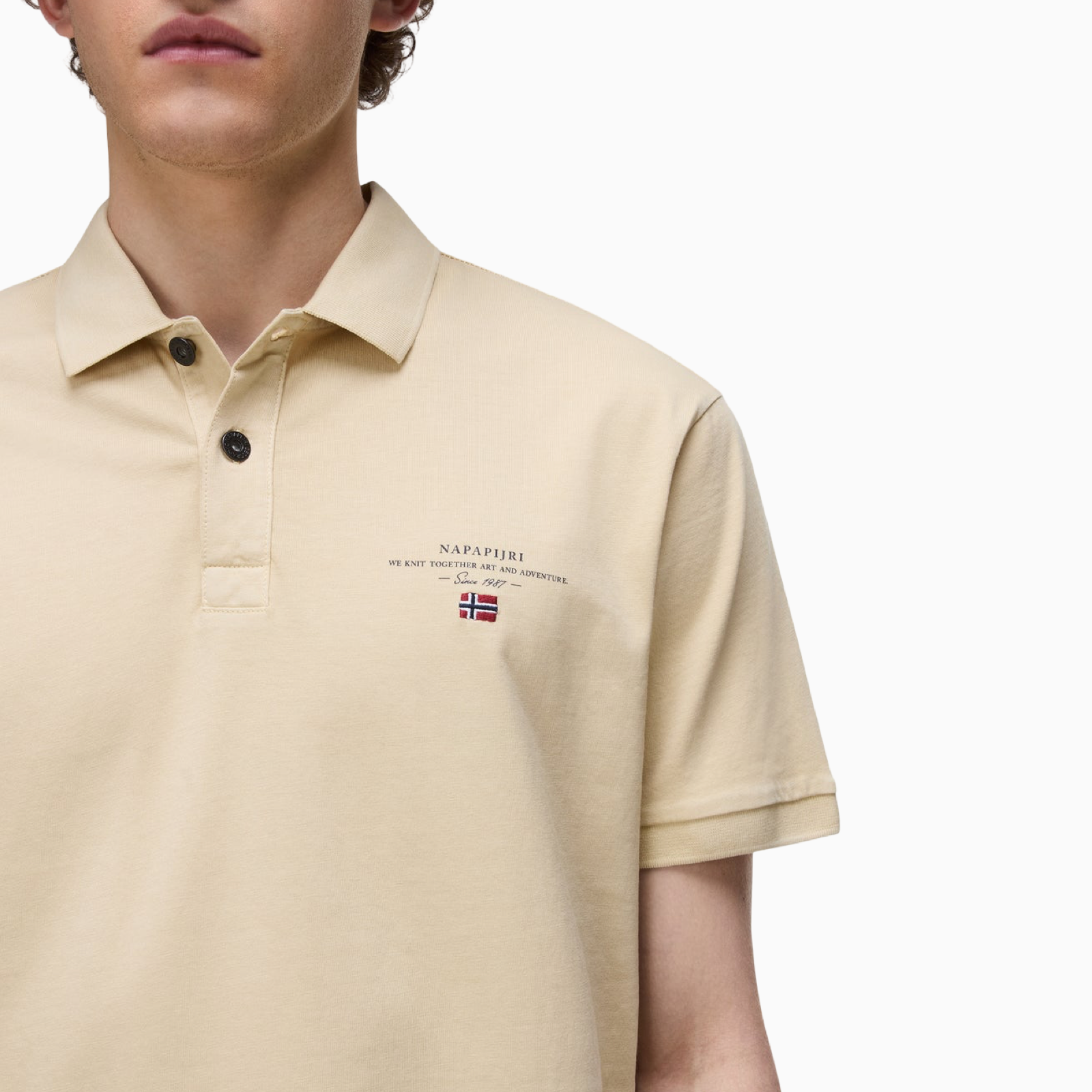 Мъжка поло тениска Napapijri Men Polo NP0A4GB4 Close-Up