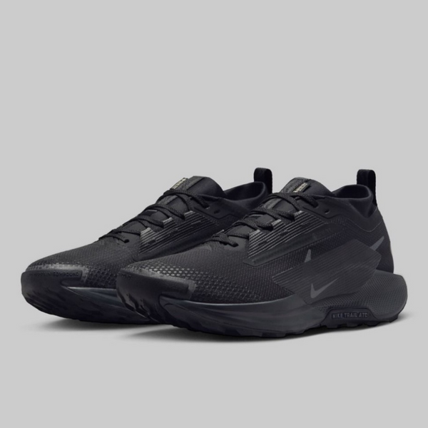 Мъжки маратонки Nike Pegasus Trail 5 GORE-TEX FQ0908-002 (черно / черно / антрацит) Преден изглед