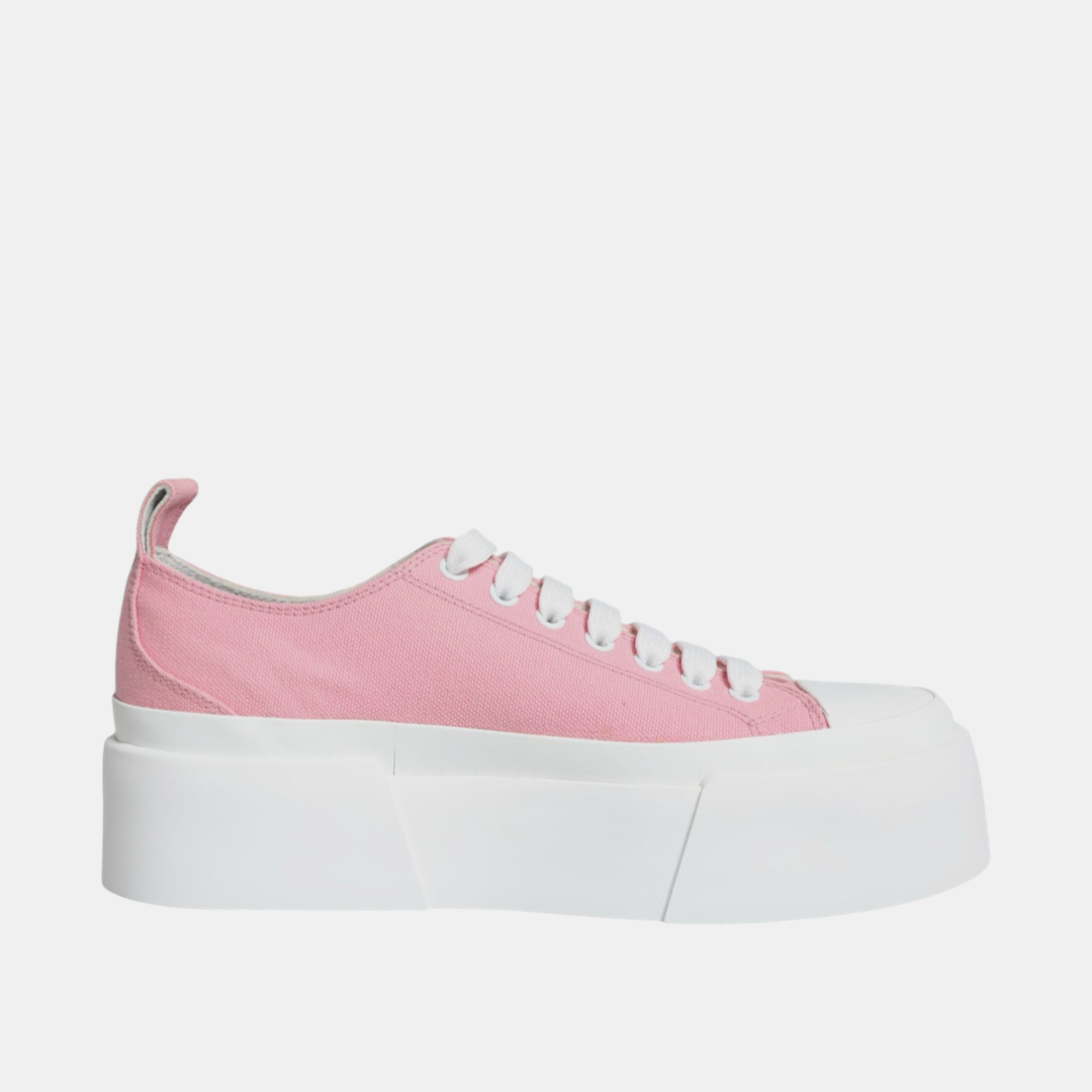 Dolce & Gabbana Women Sneakers