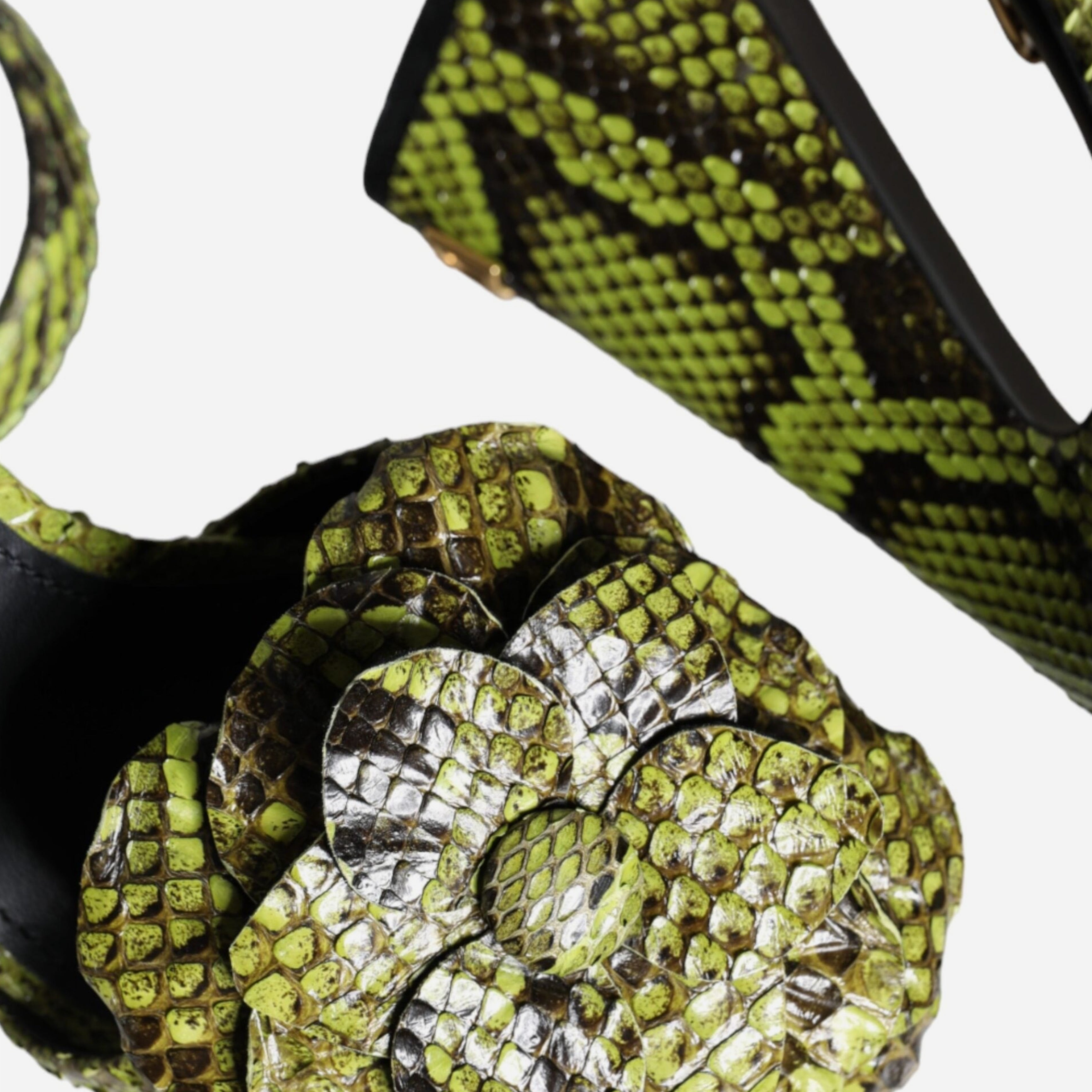 Дамски луксозни зелени сандали от питон DOLCE & GABBANA Women’s Green Python Leather Heels Sandals