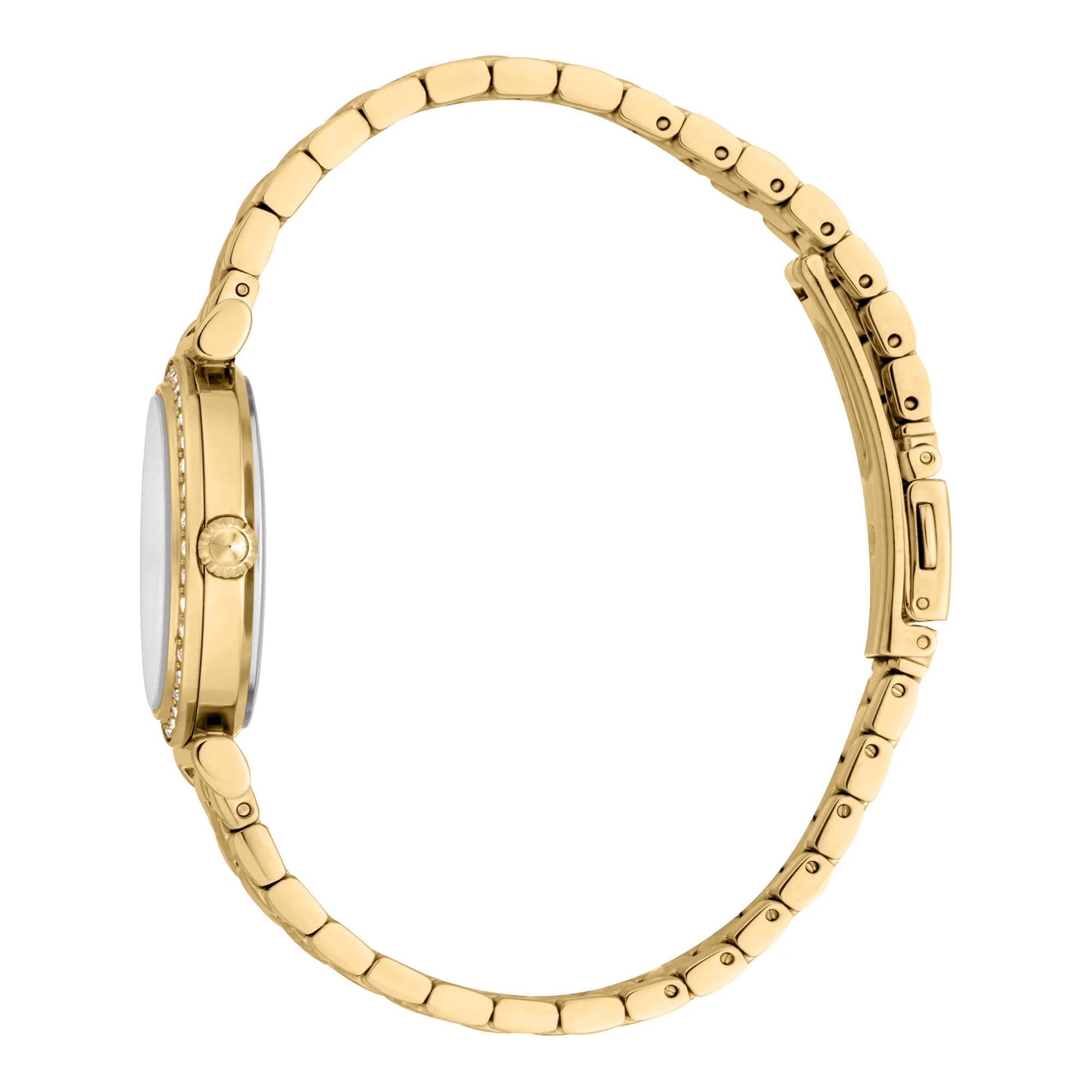 Дамски часовник Women’s set watch + bracelet Just Cavalli Varenna JC1L273M0055 side view