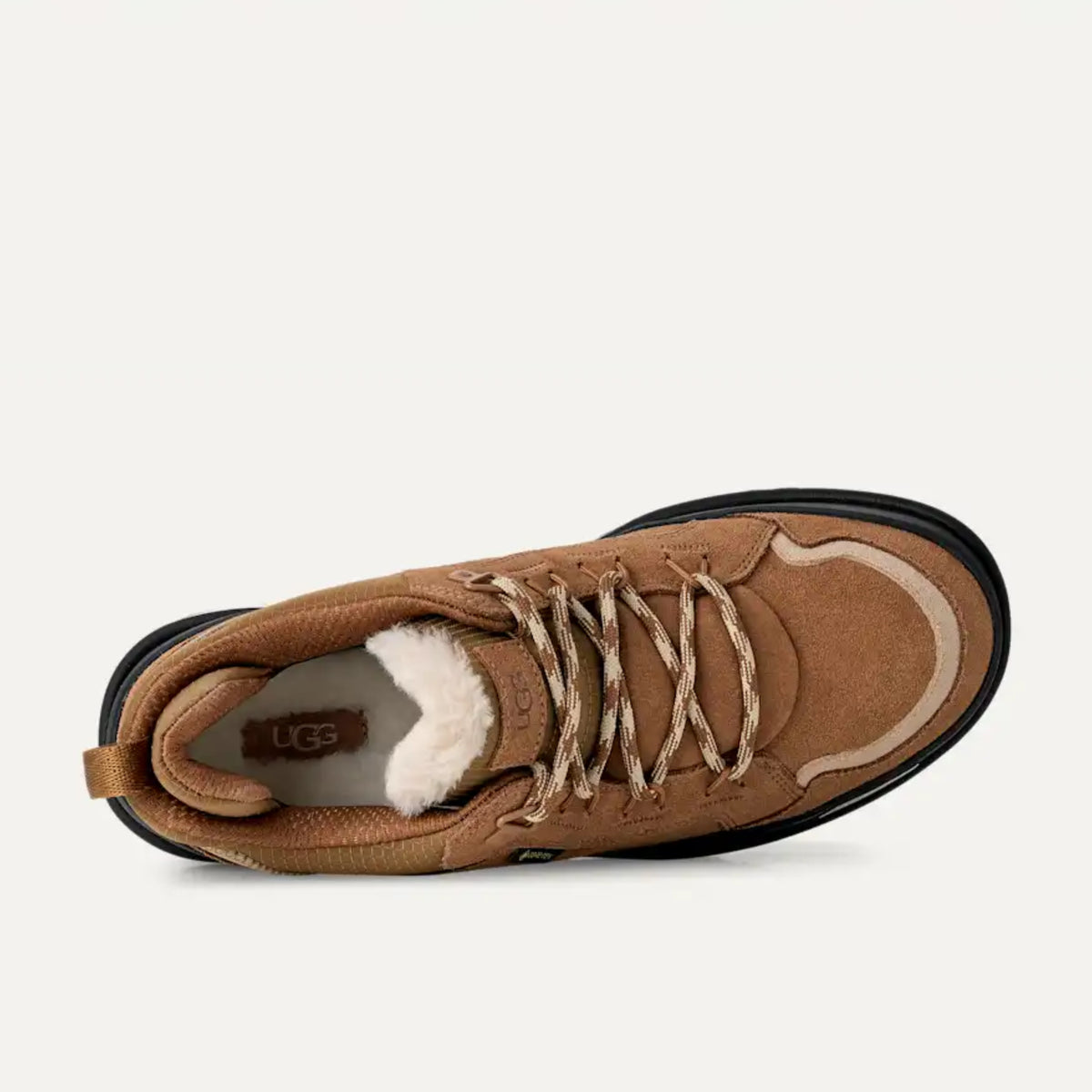 Women’s sneakers UGG Lowmel Guard GTX
1180512 Chestnut top view
