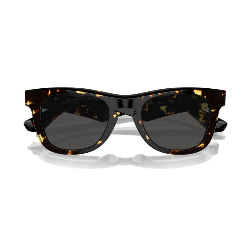 Burberry Men Sunglasses