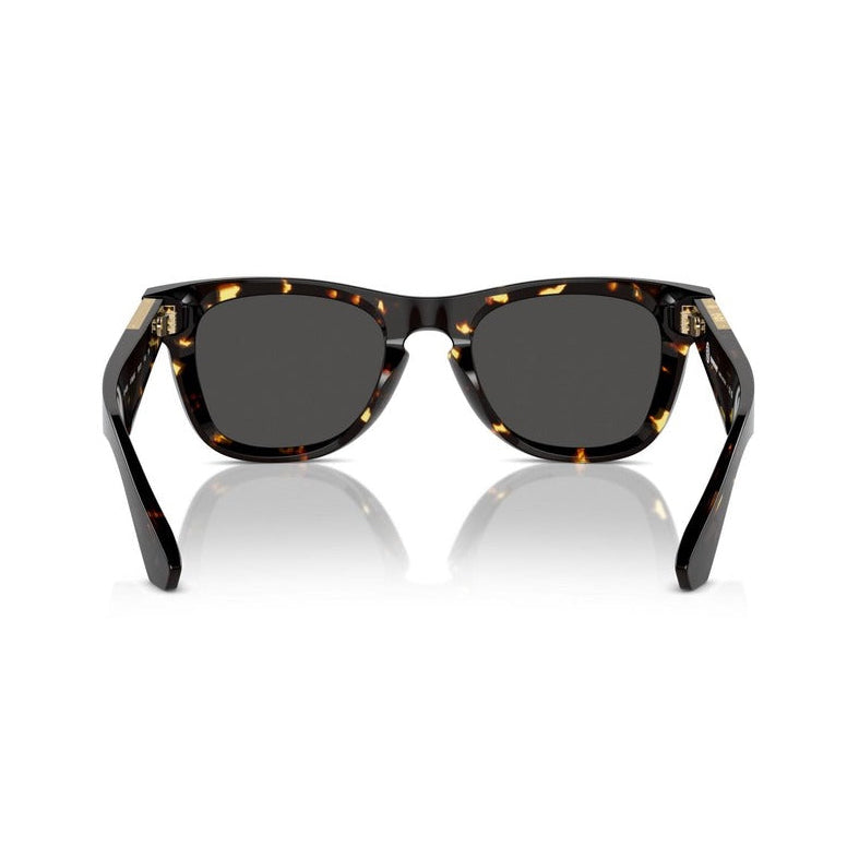 Burberry Men Sunglasses