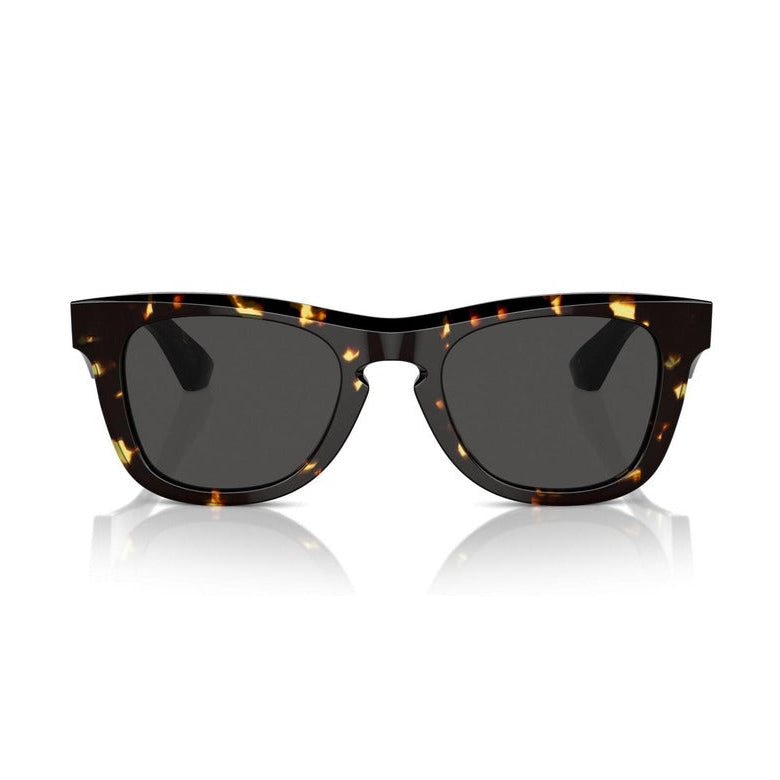 Burberry Men Sunglasses