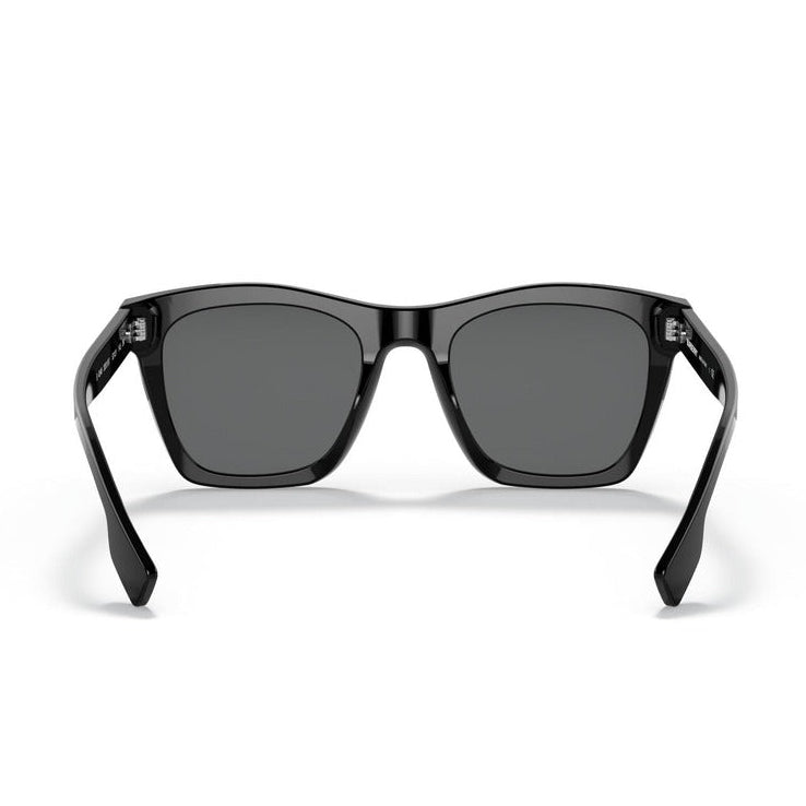 Burberry Men Sunglasses